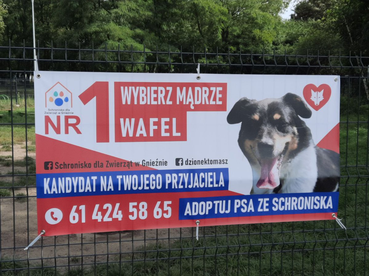 RoyalNavvy's tweet photo. Taką kampanię wyborczą to ja szanuję! https://t.co/AzI0SBlFYH