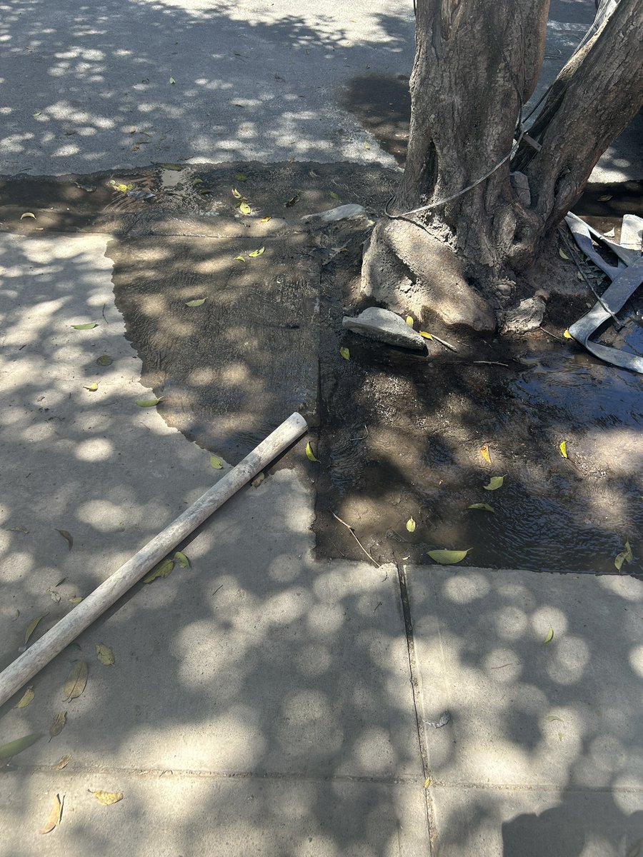 daringmoon's tweet photo. @SacmexCDMX fuga de agua enfrente de río tigris 103 https://t.co/NnogdwOiwM