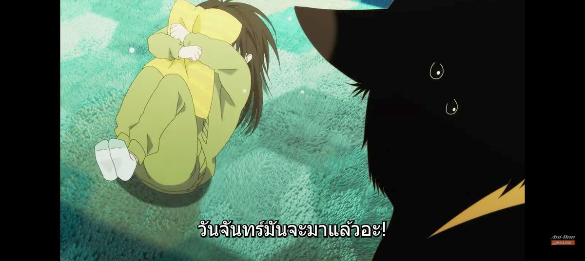 คุณหนูนับวาว tweet media