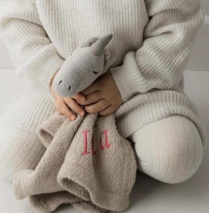LangstaffSandra's tweet photo. @AirFranceFR @AirFranceUK
A very long shot but hoping we can find my granddaughter’s comforter she lost it on a flight from Manchester to Charles De Gaulle AF1268 this morning it’s very sentimental and she won’t sleep without it praying for the help of social media!! https://t.co/8kI4WPcI5K