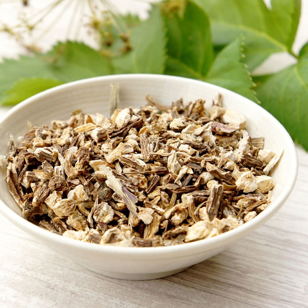 #Newpost, #Herbal #Angelica Inhibits Neuro-Inflammation Through Its Anti-ProinflammatoryCytokines Activity, Researchers Reveal kylejnorton.blogspot.com/2023/07/herbal…