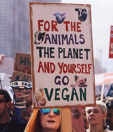 Vegan Future (@veganfuture) on Twitter photo 2023-09-24 21:07:00