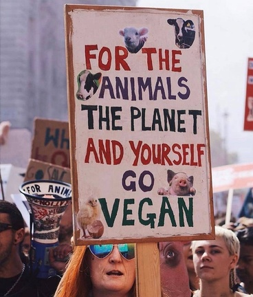 Vegan Future (@veganfuture) on Twitter photo 
