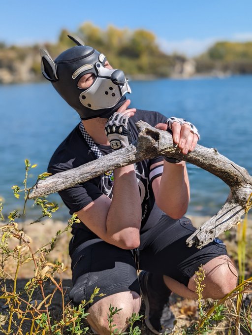 Pupperoni https://t.co/ZGe6OWe7GH