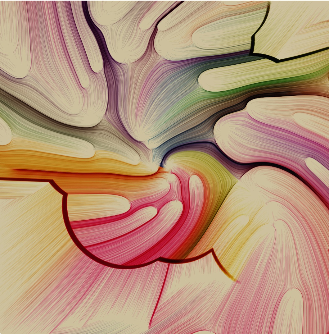 thewilliams.eth tweet media