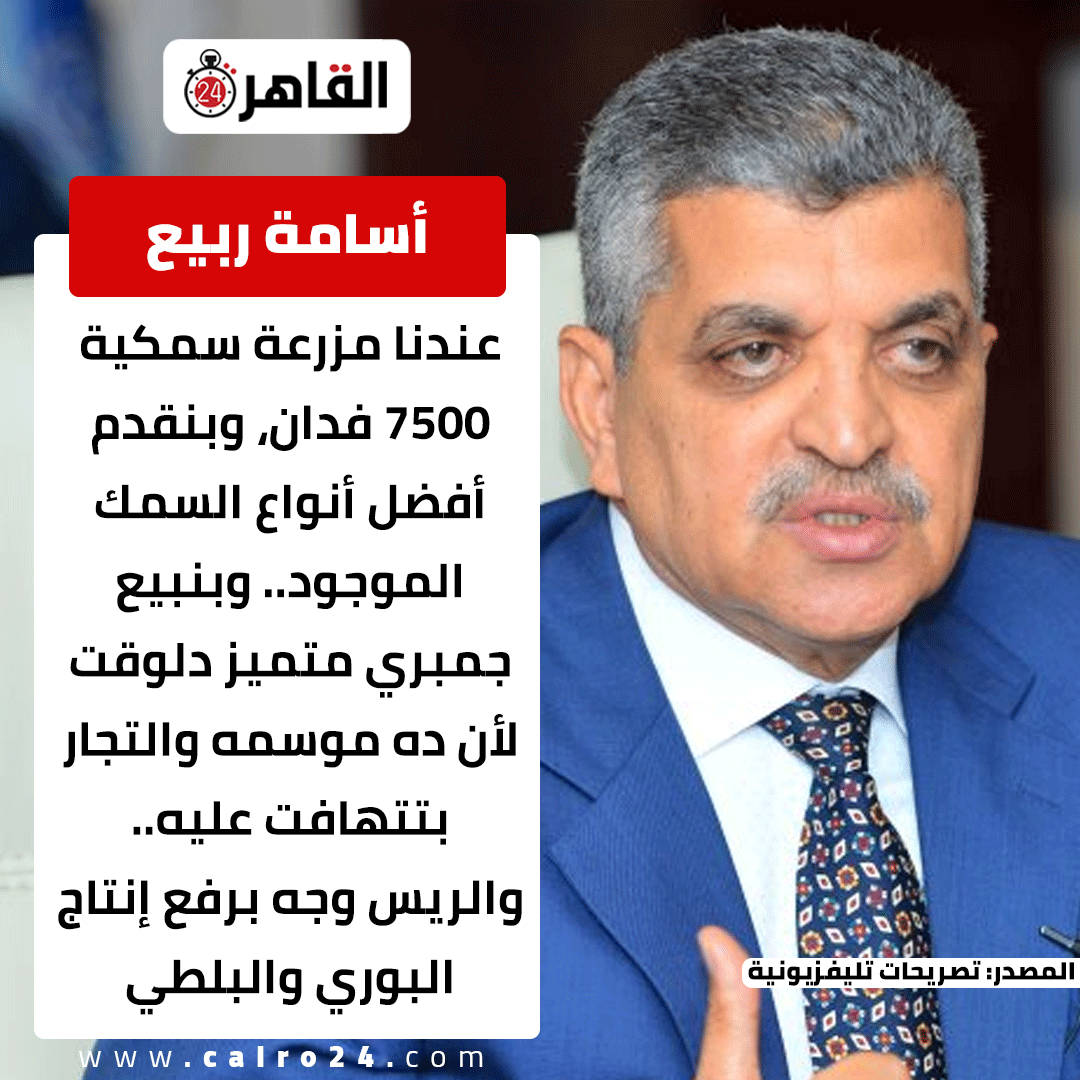 Cairo 24 - القاهرة 24 tweet media