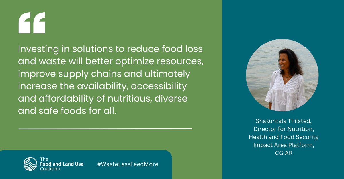 EATforum's tweet photo. Tackling #FoodLossAndWaste is a strong lever to ensure nutritious &amp; diverse diets for all, urges @trinidad1949.

Follow @FOLUCoalition's #WasteLessFeedMore campaign &amp; @CGIAR’s initiatives on Nutrition, Health and Food Security Impact Area Platform:
https://t.co/asagSNQuQT https://t.co/0xcAY77yYE