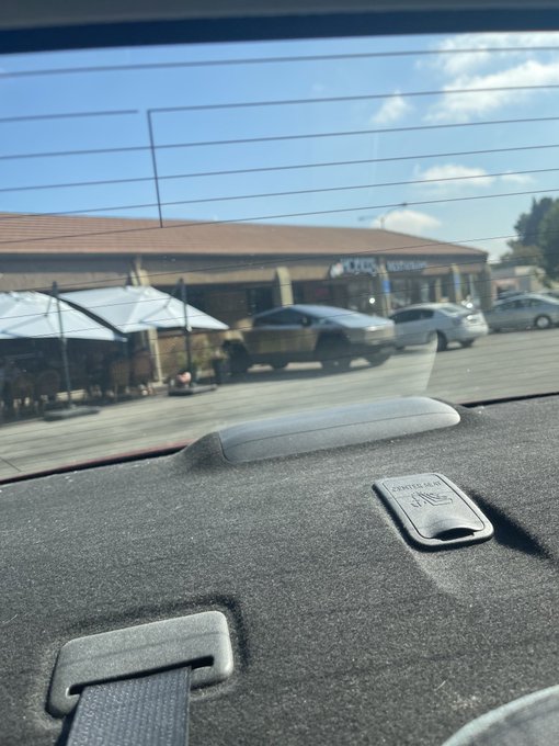 Stormy Shippy’s pics and videos