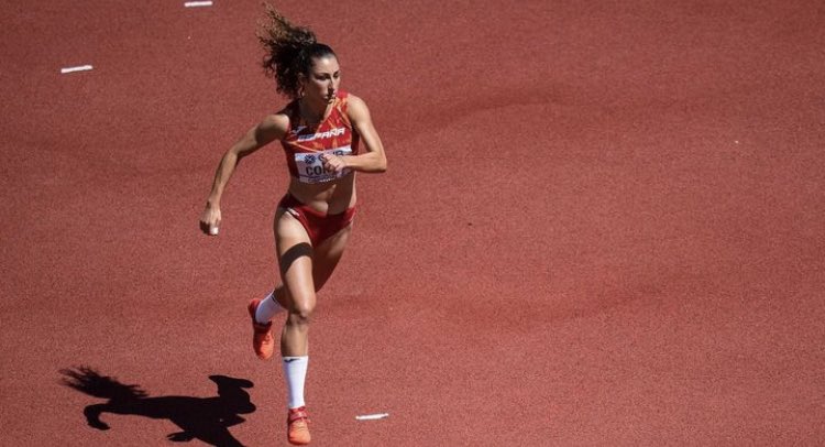 Proyecto FER tweet media