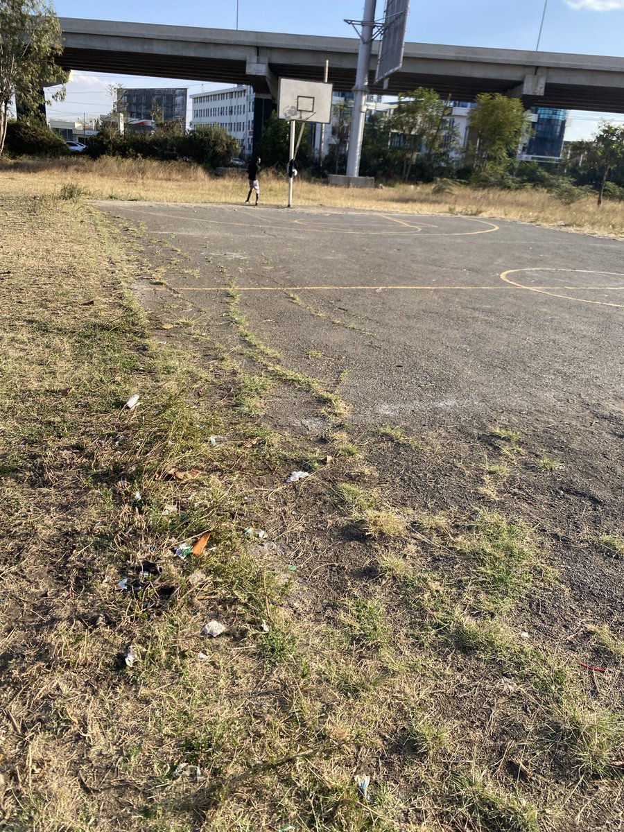 Before rehabilitating