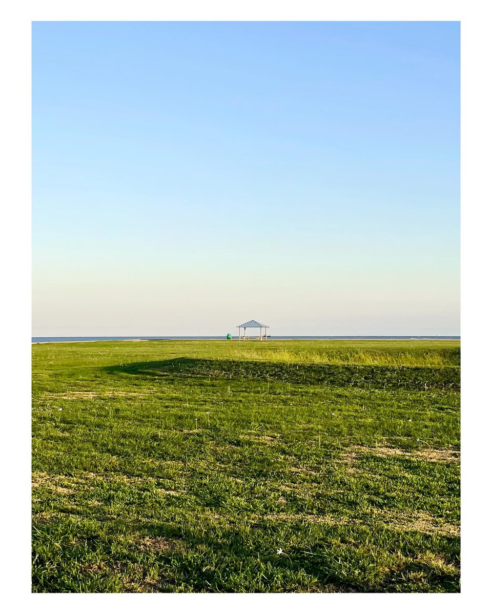 colorsofbokeh's tweet photo. Ordinary days extraordinary view.
.
#shotoniphone @apple #shortoniphone15promax 
Day 23 of 365
#sunsetview #explorehouston #houstontx #forttravis #colorsofbokeh #shotoniphone15 
#shotoniphone15pro #greenery #naturelovers #calmingvibes #calmingview #moonview #minimalistphotography https://t.co/vW7PAXr9yr