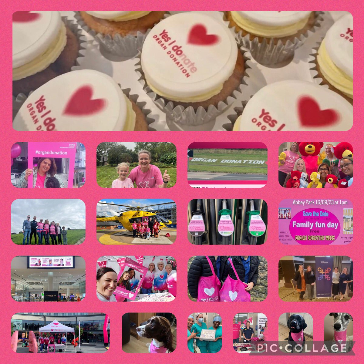 A brief snapshot of the activity over the Midlands during #OrganDonationWeek Our Specialist Nurses have worked tirelessly & with great ideas to spread the word in hospitals, events & communities. As well as logging many miles for #race4recipients plus maintaining the “day job” 💗