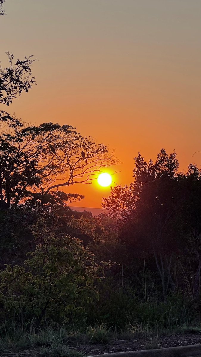 josenopolis's tweet photo. Lindo por do Sol! Quem ai é dessa cidade? Qual sua relação dom @josenopolis ? Segue e Comente... 
.
Crédito📸 @katynhaornelles 
.
#josenopolis #mg #minasgerais #brasil #minaseolugar #wmcmidia #portalumminuto #sol #pordosol https://t.co/3q27q9r2t3