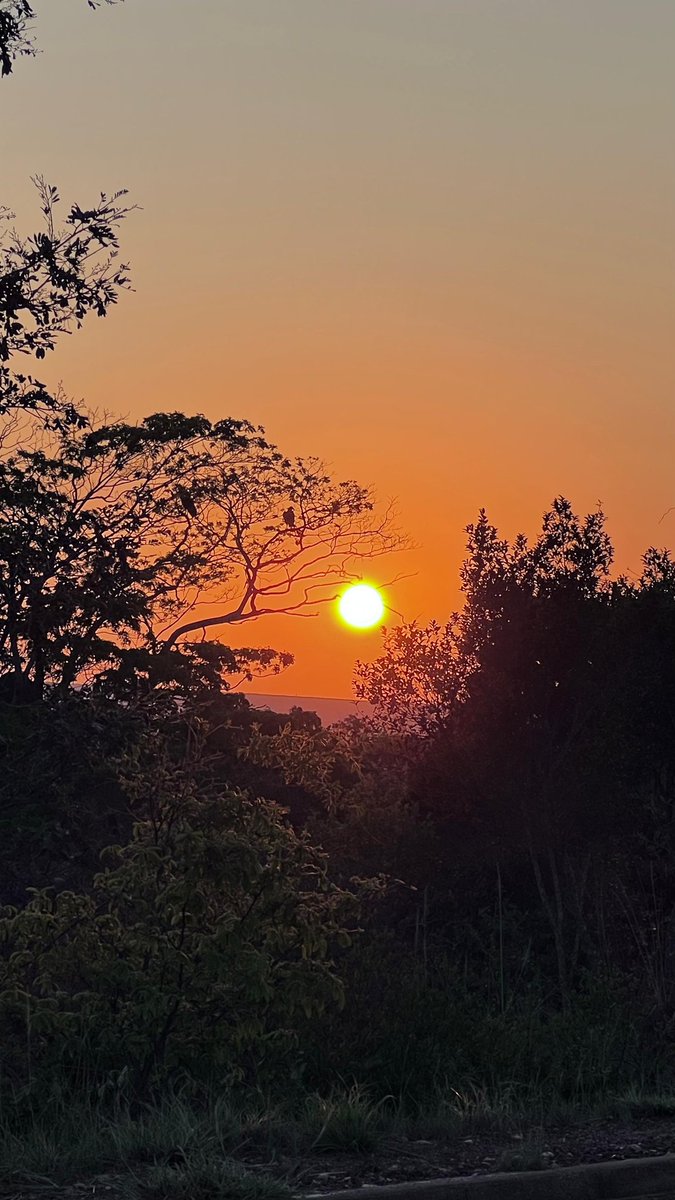 josenopolis's tweet photo. Lindo por do Sol! Quem ai é dessa cidade? Qual sua relação dom @josenopolis ? Segue e Comente... 
.
Crédito📸 @katynhaornelles 
.
#josenopolis #mg #minasgerais #brasil #minaseolugar #wmcmidia #portalumminuto #sol #pordosol https://t.co/3q27q9r2t3
