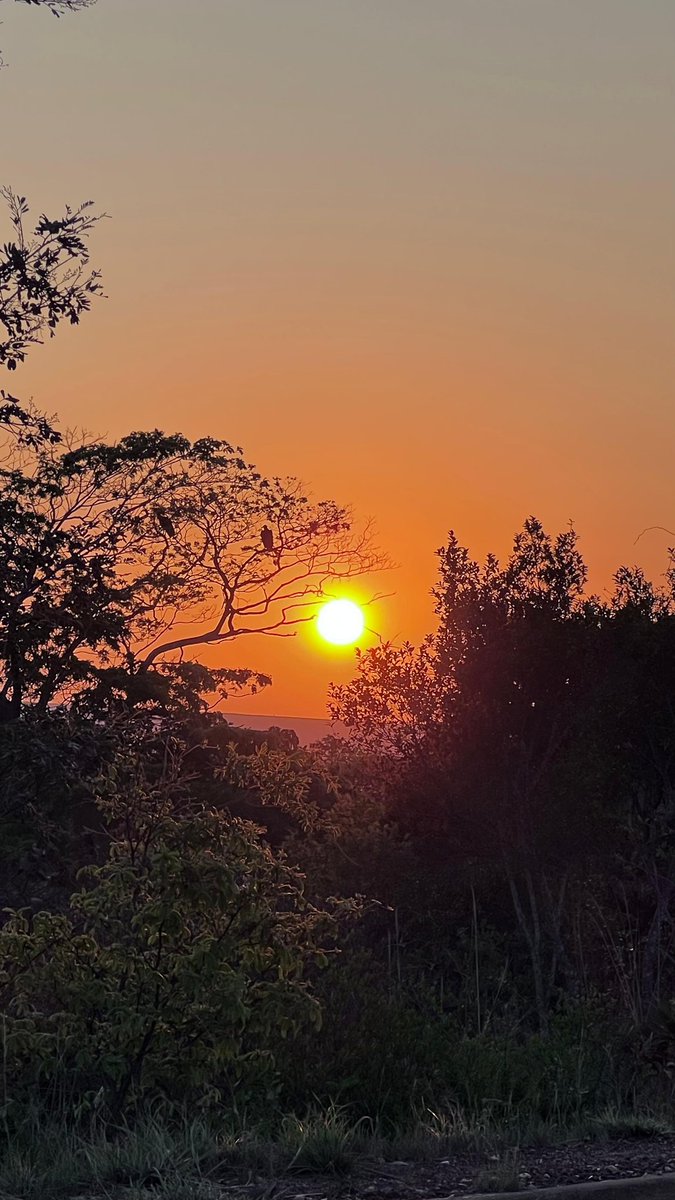 josenopolis's tweet photo. Lindo por do Sol! Quem ai é dessa cidade? Qual sua relação dom @josenopolis ? Segue e Comente... 
.
Crédito📸 @katynhaornelles 
.
#josenopolis #mg #minasgerais #brasil #minaseolugar #wmcmidia #portalumminuto #sol #pordosol https://t.co/3q27q9r2t3