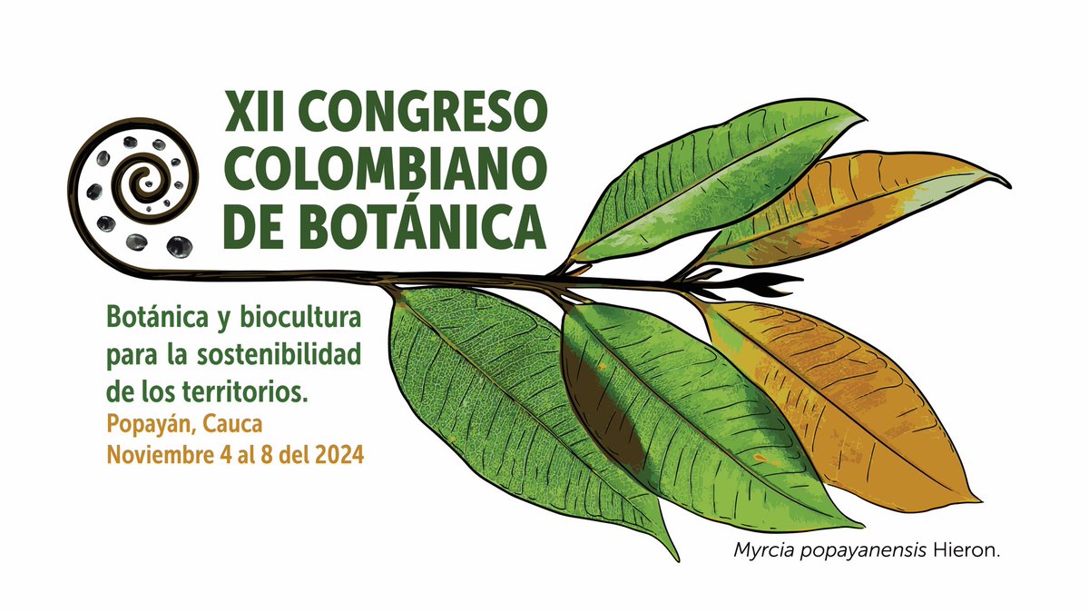 AsociacionAcb's tweet photo. Presentamos el logo oficial del XII Congreso Colombiano de Botánica que en el año 2024 tendrá sede y Comité Organizador en la Universidad del Cauca. Estaremos compartiendo más información dentro de pronto.
No olvides seguir nuestras redes sociales 🌿. https://t.co/jvx9M2EMDf