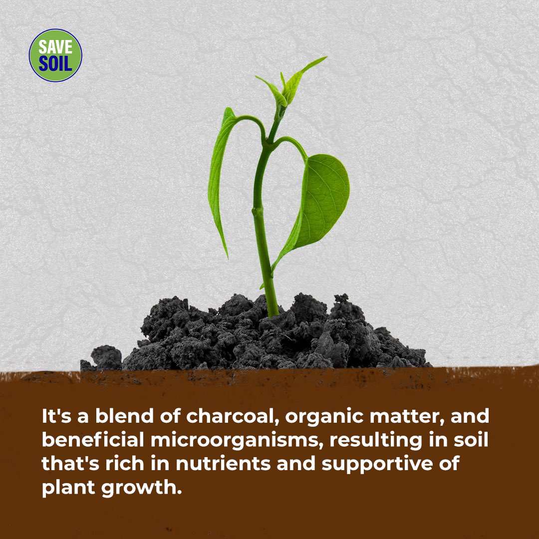 cpsavesoil's tweet photo. Discover the secrets of Terra Preta!

Terra Preta, meaning "black soil" in Portuguese, is a unique soil type crafted by ancient Amazonian tribes. They blended charcoal, pottery sherds, and mysterious organic materials. What captivates contemporary scientists is its enduring fertility, preserved for millennia, and our ongoing challenge to replicate its exact qualities. This pursuit led to the creation of 'biochar': a modern counterpart of charcoal that's now a valuable addition to your garden toolkit! #SaveSoil

Action now: https://t.co/uVnQCIZ3pr