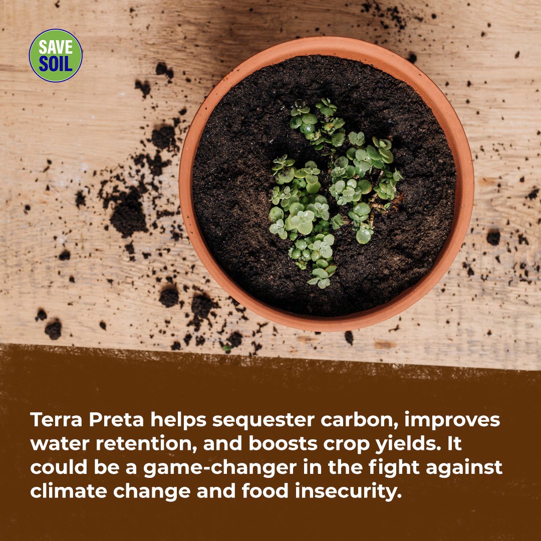 cpsavesoil's tweet photo. Discover the secrets of Terra Preta!

Terra Preta, meaning "black soil" in Portuguese, is a unique soil type crafted by ancient Amazonian tribes. They blended charcoal, pottery sherds, and mysterious organic materials. What captivates contemporary scientists is its enduring fertility, preserved for millennia, and our ongoing challenge to replicate its exact qualities. This pursuit led to the creation of 'biochar': a modern counterpart of charcoal that's now a valuable addition to your garden toolkit! #SaveSoil

Action now: https://t.co/uVnQCIZ3pr