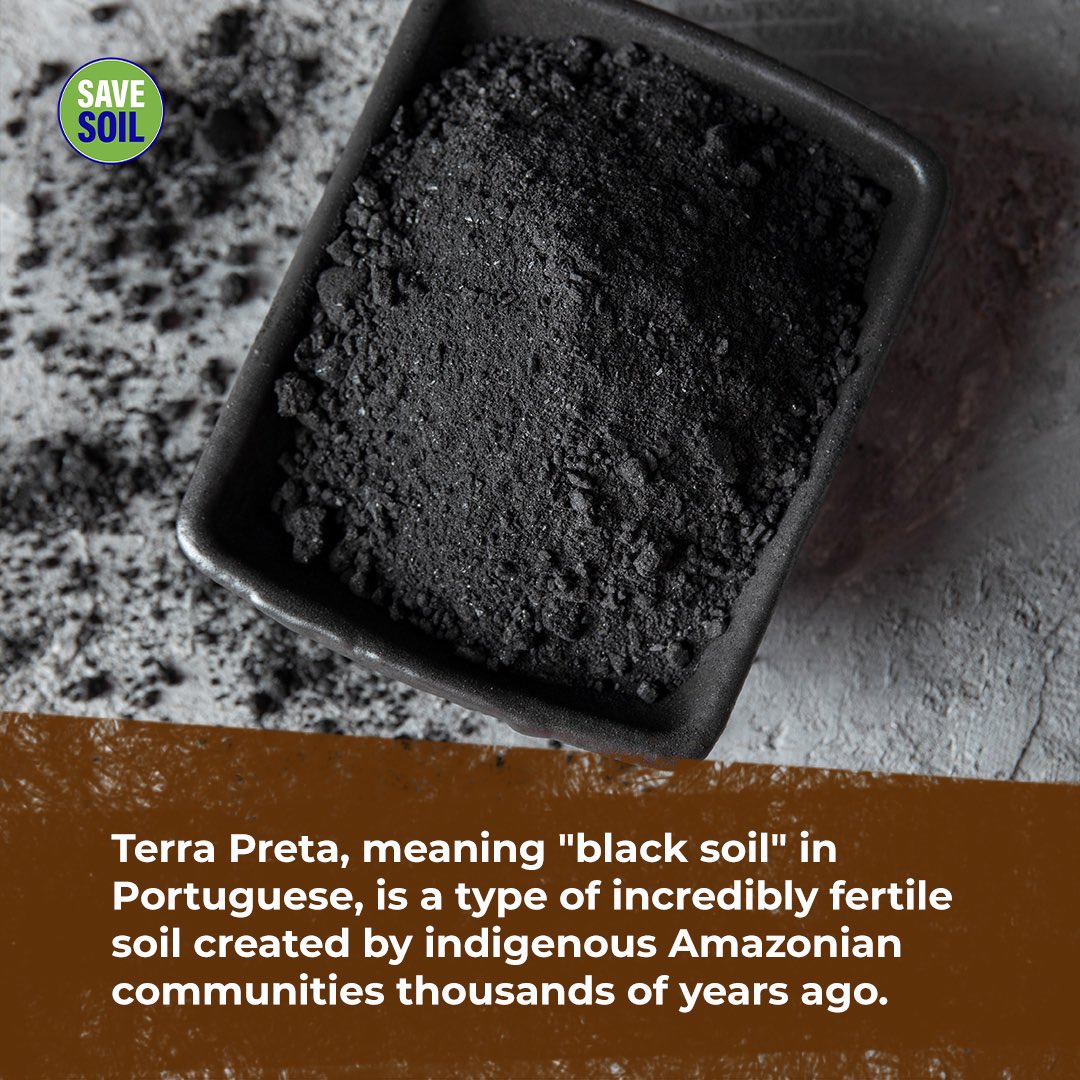 cpsavesoil's tweet photo. Discover the secrets of Terra Preta!

Terra Preta, meaning "black soil" in Portuguese, is a unique soil type crafted by ancient Amazonian tribes. They blended charcoal, pottery sherds, and mysterious organic materials. What captivates contemporary scientists is its enduring fertility, preserved for millennia, and our ongoing challenge to replicate its exact qualities. This pursuit led to the creation of 'biochar': a modern counterpart of charcoal that's now a valuable addition to your garden toolkit! #SaveSoil

Action now: https://t.co/uVnQCIZ3pr