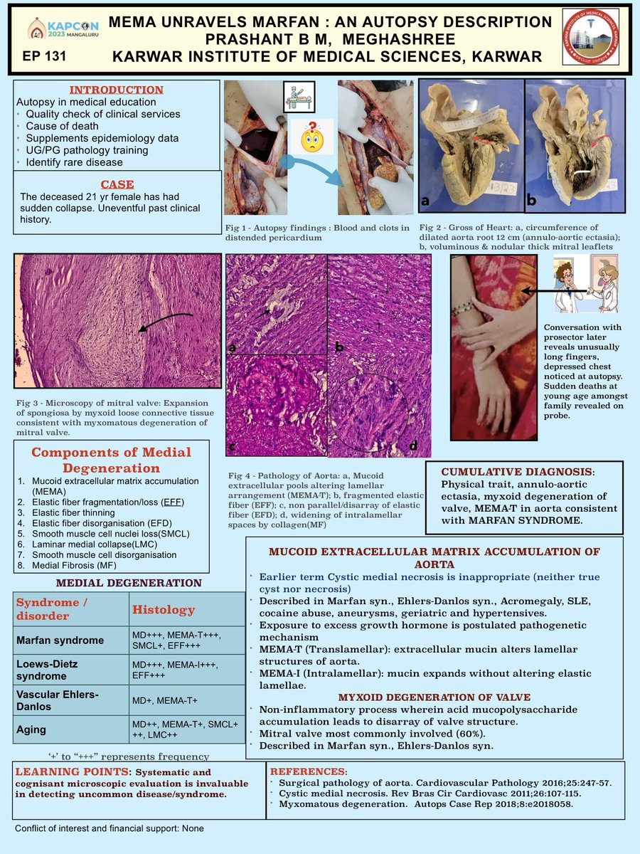 Poster presentation #KAPCON2023