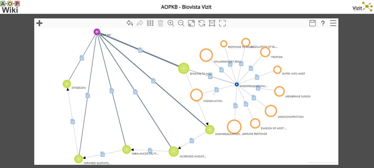 AOP-KB-based Vizit installation in #AOP-Wiki is now updated with the latest #adverseoutcomepathway data! Explore &amp; create visually interactive networks of AOPs, KEs &amp; components, incl. #MEDLINE #newapproachmethodologies #toxicology aopkb.biovista.com/#!bv_gid=ee5c4…