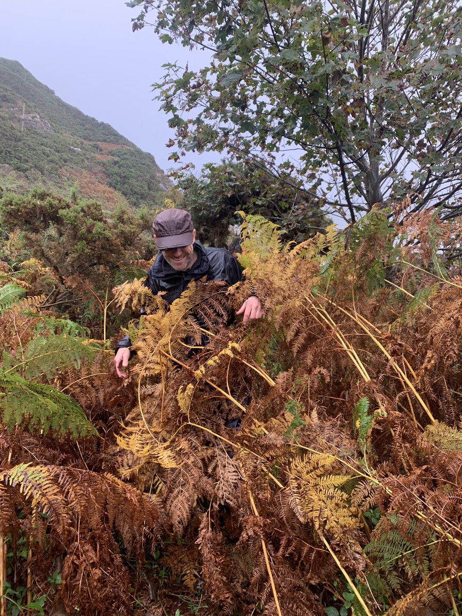 Tracy Munro tweet media