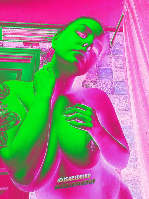 💋Redbird ☆ OnlyFans ☆ - 🔥 I'm Wicked & Wild 🔥 •Check Me Out• https://t.co/cc896x75IU