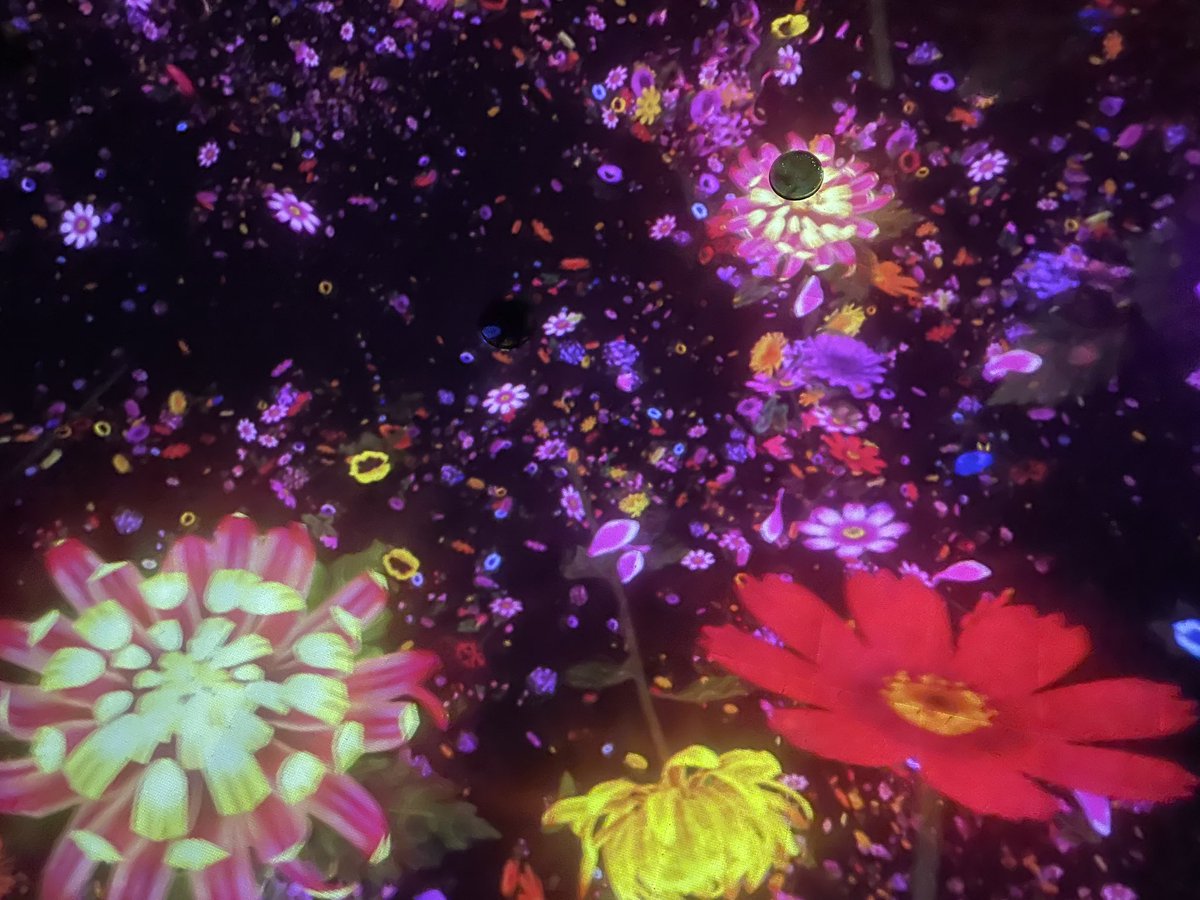 saja0486's tweet photo. teamlab planets Tokyo
#MultiColored #Illuminated #Purple #Decoration #tokyo_camera_club #tokyo #teamlabplanetstokyo #okinawa_photo_community https://t.co/nMWtrkNlxE