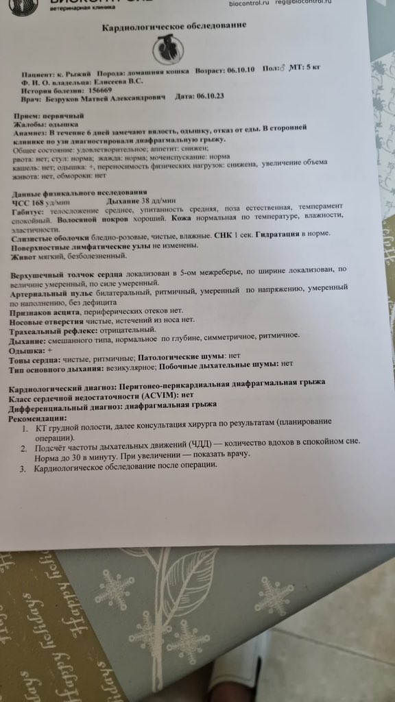 Помогаю информационно🆘
Это кот Рыжий. У него разрыв диафрагмы и он не может дышать.
Еще у него группа крови В и Мик-фактор, поэтому  с ним совместили только одну кошку, но ее сданной крови для операции недостаточно((( ищем донора - крупного кота с В группой🆘
+7 905 759‑57‑10