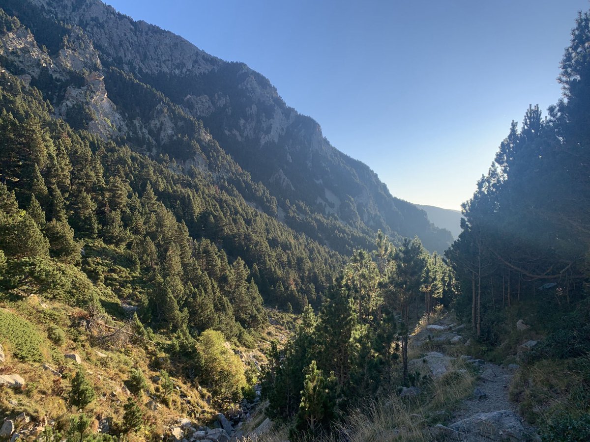 quimboucomics's tweet photo. Excursió al Pirineu (04-2023)

A mitja pujada, un #voltor comú reposa en una roca propera i gairebé no el veiem.

#catalunya #catalonia #catalogne #muntanya #mountains #montagnes #pirineu #excursio #excursion #trekking https://t.co/5HWjiMfgZa