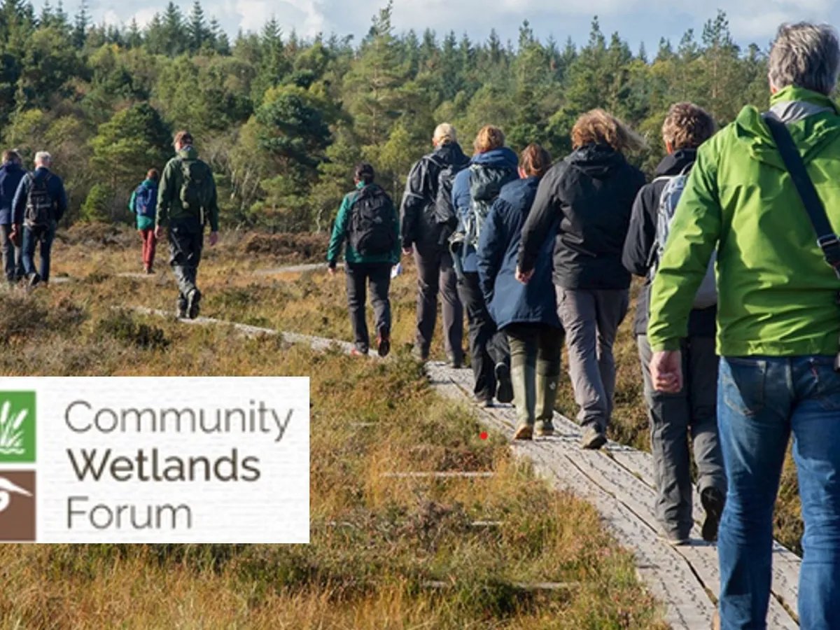 9: It's time to celebrate peatlands & peatland heritage - we have strong connections throughout our history & that is to be respected. We can do that by looking after our peatlands & coming together as a community to do so @forum_wetlands