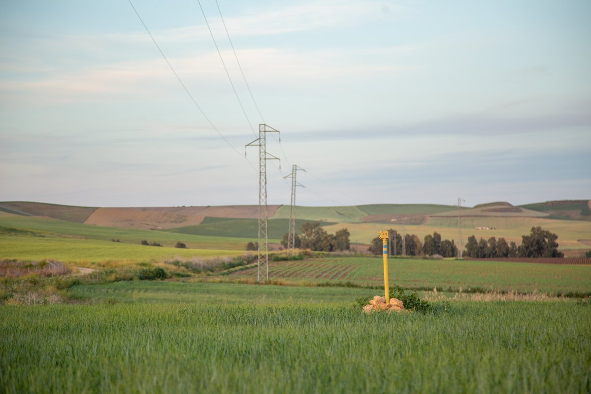 En el #DíaDelHidrógeno celebrado este fin de semana aprovechamos para revalidar nuestro compromiso con la innovación, los #ODS y el medio ambiente. Los gases renovables son un importante activo en esta etapa de #TransiciónEnergética. tarbaenergia.com