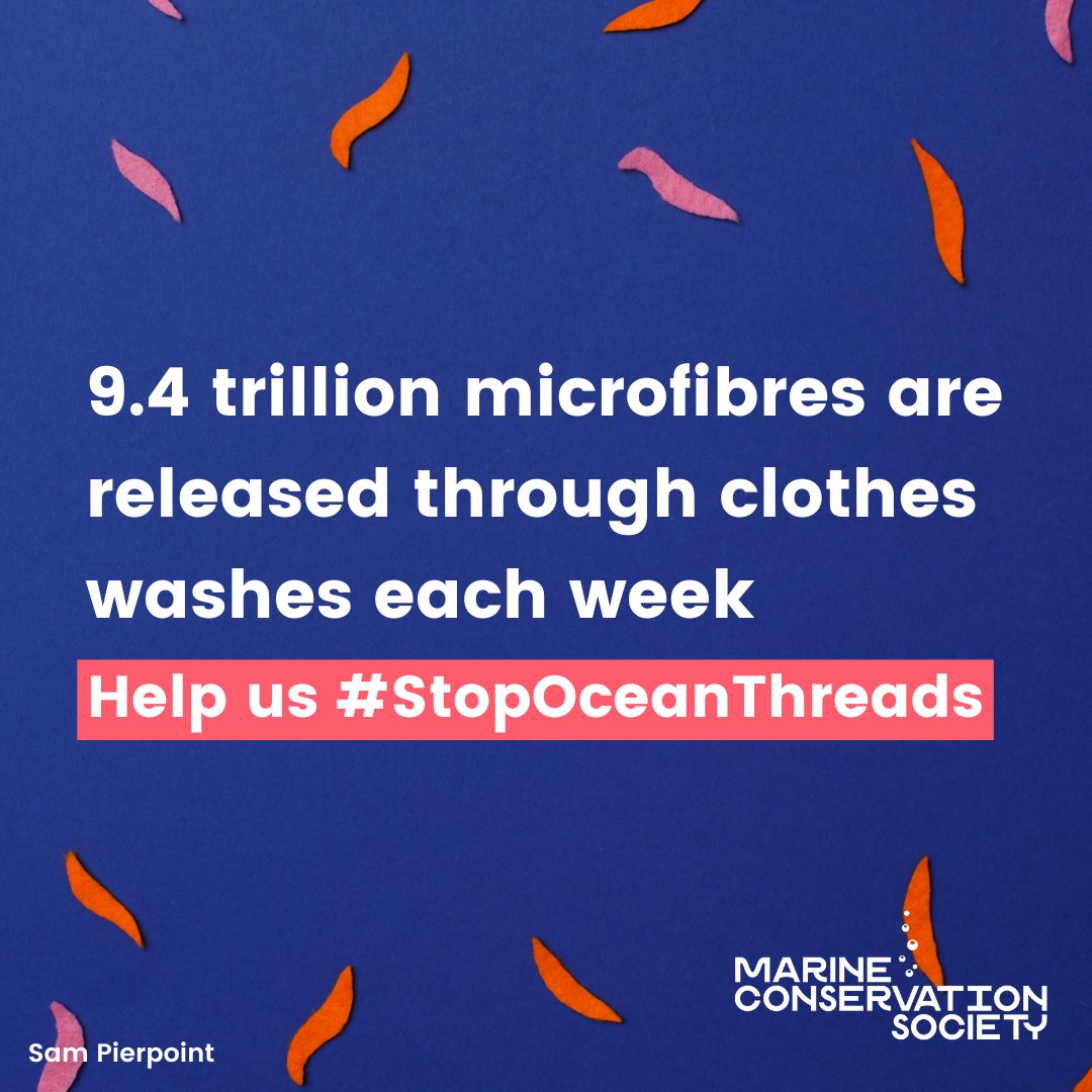 mcsuk's tweet photo. We’ve been campaigning for @GOVUK to implement a crucial law to #StopOceanThreads at source by requiring manufacturers to fit microfibre filters.
Have you signed our petition yet?📝 Help us get to 50,000 signatures by signing and sharing today: https://t.co/C53HYwokOs https://t.co/M4X4Iwtt7C
