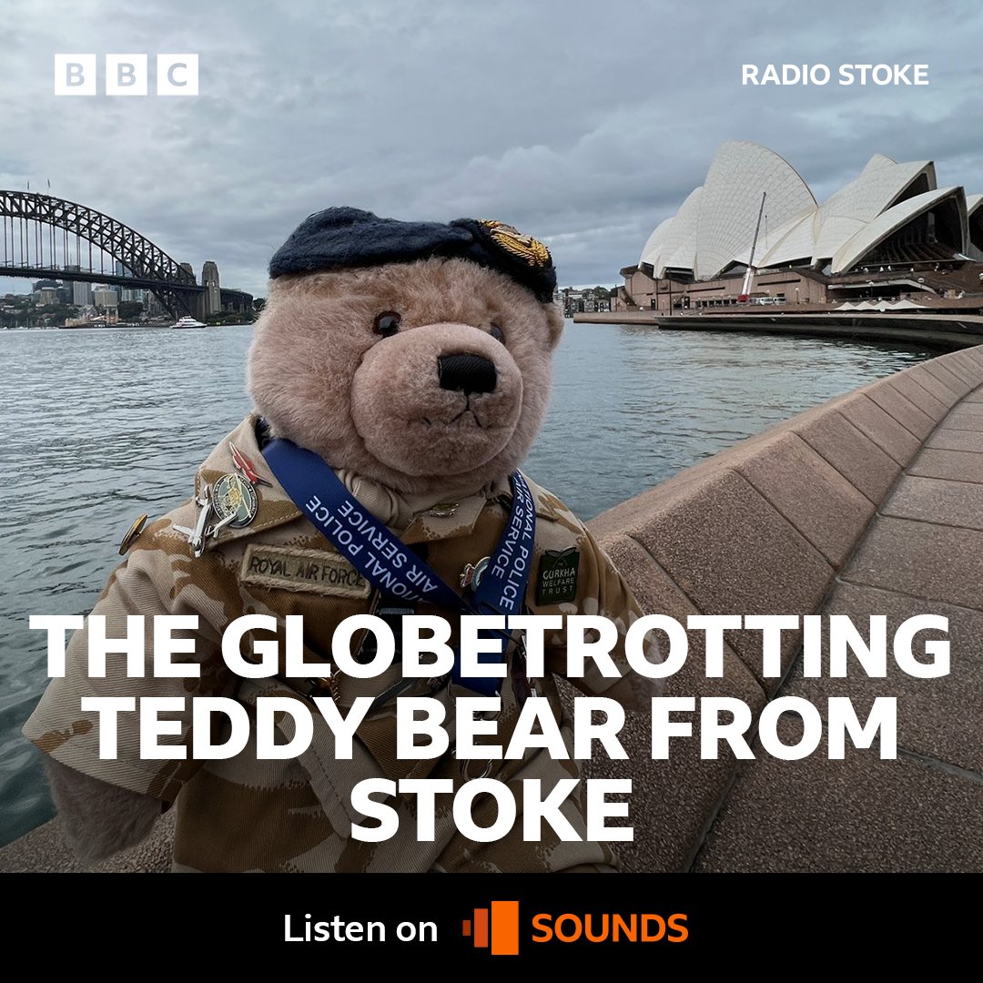 bearforceofficial tweet media