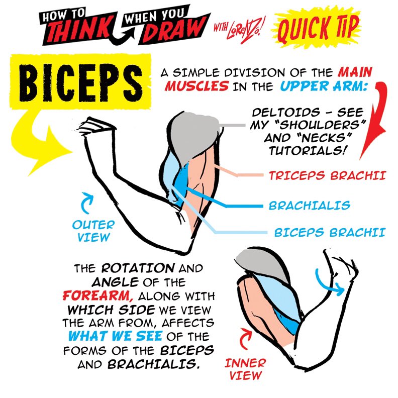 EtheringtonBrothers (@etheringtonbros) on Twitter photo BICEPS! We're going to be appearing at <a href="/ThoughtBubbleUK/">Thought Bubble Festival</a> on the 11th & 12th NOVEMBER with the FINAL COPIES of our TUTORIALS BOOKS! The ONLY PLACE on the PLANET where you can get all the SINGLE VOLUMES! We’re the FIRST TABLE through the MAIN ENTRANCE at the convention! BICEPS! We're going to be appearing at <a href="/ThoughtBubbleUK/">Thought Bubble Festival</a> on the 11th & 12th NOVEMBER with the FINAL COPIES of our TUTORIALS BOOKS! The ONLY PLACE on the PLANET where you can get all the SINGLE VOLUMES! We’re the FIRST TABLE through the MAIN ENTRANCE at the convention!