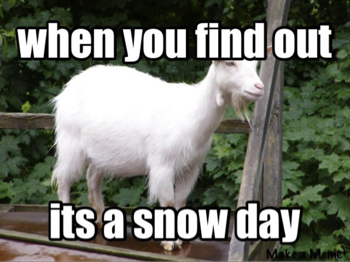 Goaty coin is live and here to stay until the next bull market:

Ca: 0x42f728c6400c0eda17344c95c6153909a01ecaa9