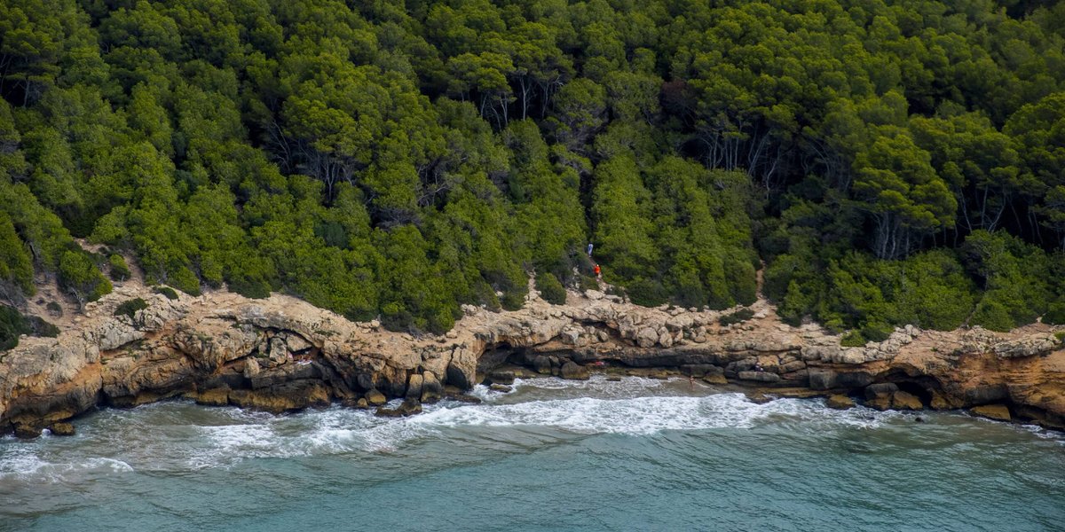 Fundación Bosc de la Marquesa (@boscmarquesa) on Twitter photo El Bosc de la Marquesa a vista de dron! 👀 Un meravellós contrast que ens deixa bocabadats. Vegetació 🌳, roques 🪨 i mar 🌊
💚🤎💙
#FundacioBoscDeLaMarquesa #BoscDeLaMarquesa #BoscMarquesa #Tarragona #Mediterrani #FotografiaAerea #Fotografia #Dron El Bosc de la Marquesa a vista de dron! 👀 Un meravellós contrast que ens deixa bocabadats. Vegetació 🌳, roques 🪨 i mar 🌊
💚🤎💙
#FundacioBoscDeLaMarquesa #BoscDeLaMarquesa #BoscMarquesa #Tarragona #Mediterrani #FotografiaAerea #Fotografia #Dron