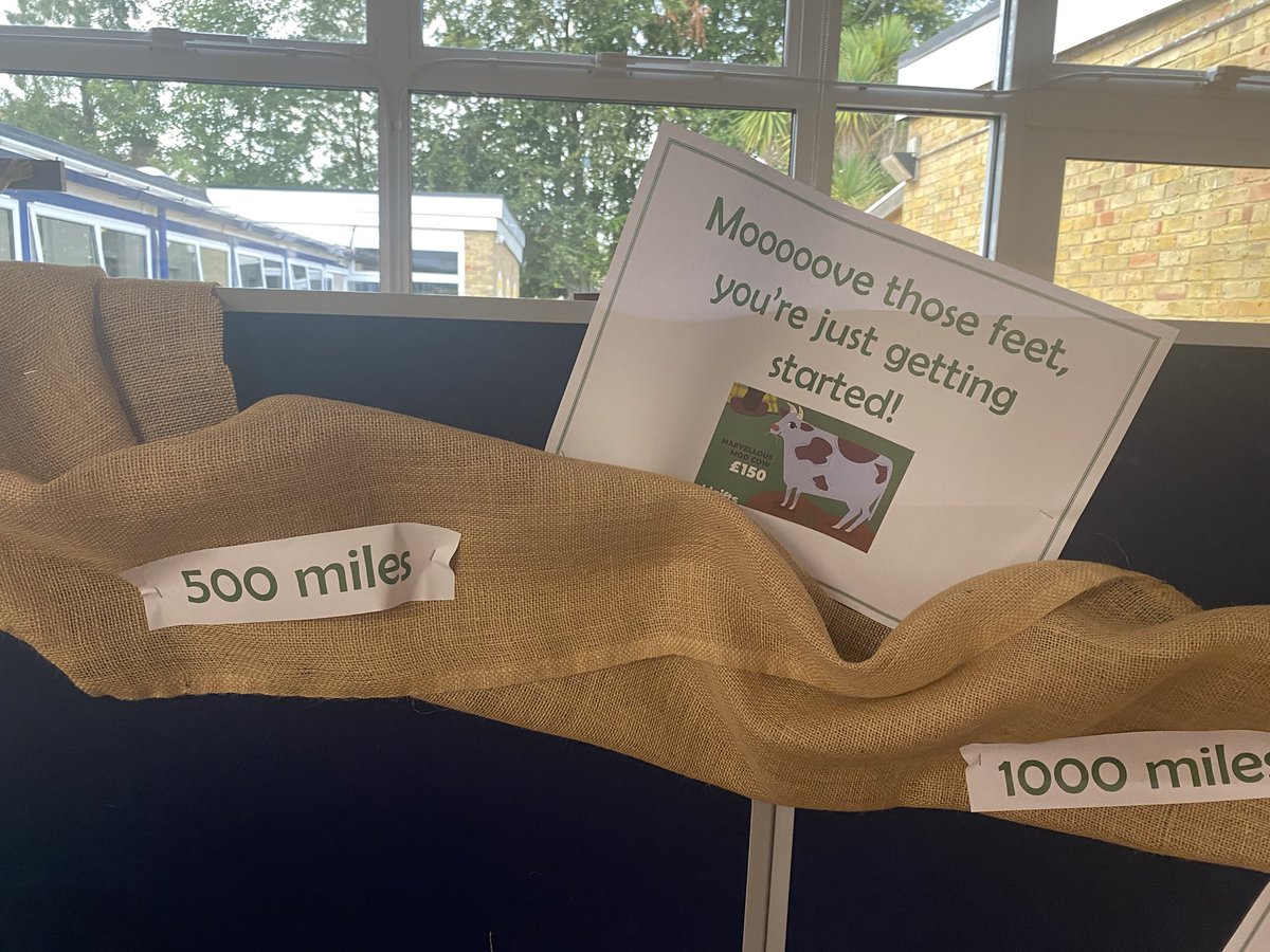 St Cuthbert's School tweet media