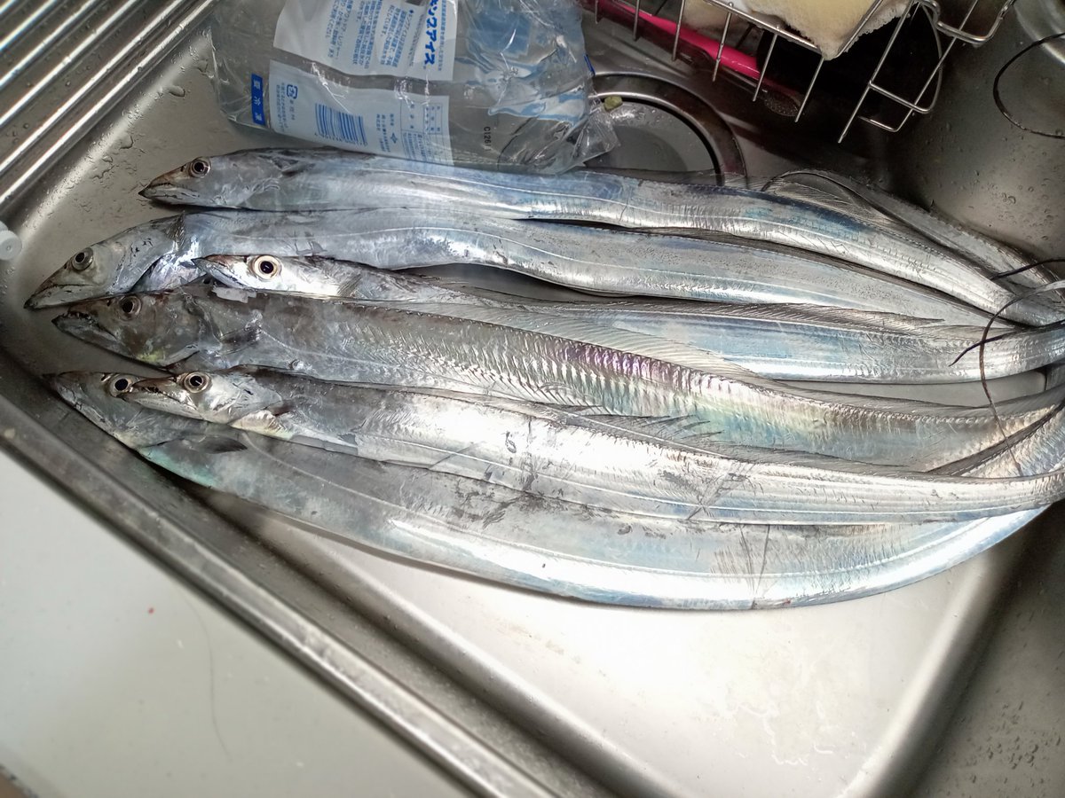 釣りました。
