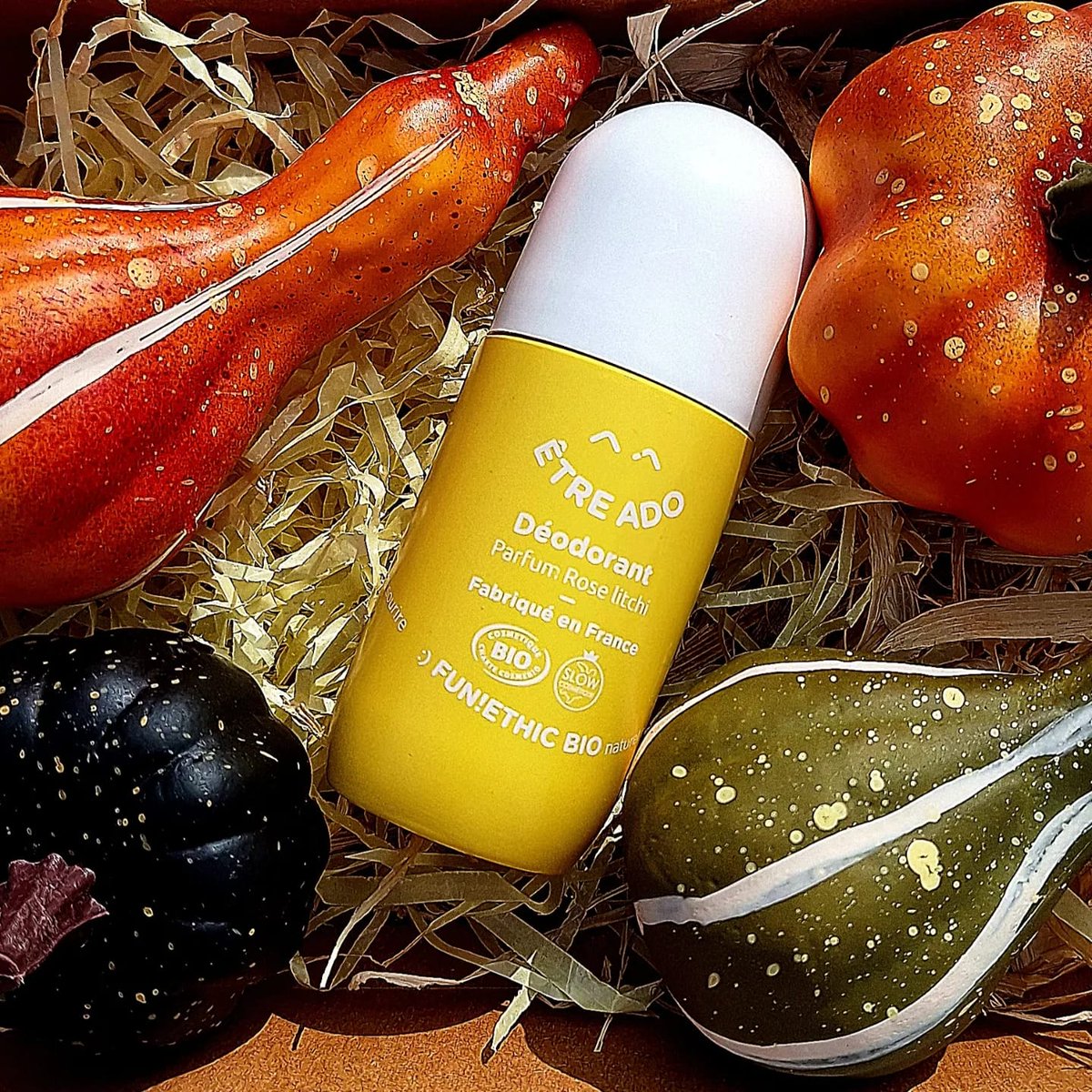 FunEthic's tweet image. Bonne journée ! 🍁🍂