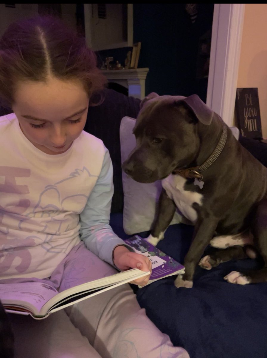 Kenzo enjoyed his bedtime story 📖✨read by his favourite person 👧🏻💕