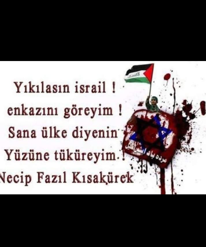 Gnl (@gnlnrs) on Twitter photo 