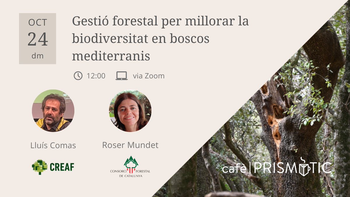 Ja tenim un altre #cafèPrismàtic a tocar! ☕️ Aquest cop la Roser Mundet del <a href="/cfcatalunya/">Consorci Forestal</a> i en Lluís Comas del <a href="/CREAF_ecologia/">CREAF</a> ens explicaran la proposta del <a href="/LifeBiorgest/">LifeBiorgest</a> per gestionar els boscos mediterranis 🌳🪳 Nosaltres no ens ho perdrem, i tu? 🤓👉🏽 prisma-tic.cat/agenda/gestio-…