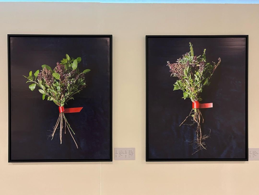 museum_bihar's tweet photo. #ExhibitionsAtBMB2023 #InAnotherGreen

Leor Grady is an Israeli-born visual artist. His works explore the dynamics between communities in Israel, focusing on marginal communities and their cultural traditions that the mainstream has ignored. Grady came from an Eastern Jewish background (Jews from Islamic countries) and grew up in the Israeli periphery, dealing with the heritage and history of his community. Through his art he challenges the oppressive aspects of Jewish-Israeli internal colonialism and reclaims the place of Yemenite Jews in Israeli history.

Grady's photographs emphasize the readiness of the plants cultivated by Yemenite Jews and their connection to the community's being-in-the-world. His explorations offer a different perspective on romantic notions of the "primitive" and challenges the modern attempt to monopolize knowledge.

The exhibition is on view till 15th October, 2023 at the Bihar Museum, Patna.

#BiharMuseumBiennale #BMB2023 #MuseumBiennale #BiharMuseum #MuseumsOfTheWorld #IndianMuseum #Biennale #InAnotherGreen #Israel #IsraeliArt #LeorGrady #JosephDadoune #YigalOzieri