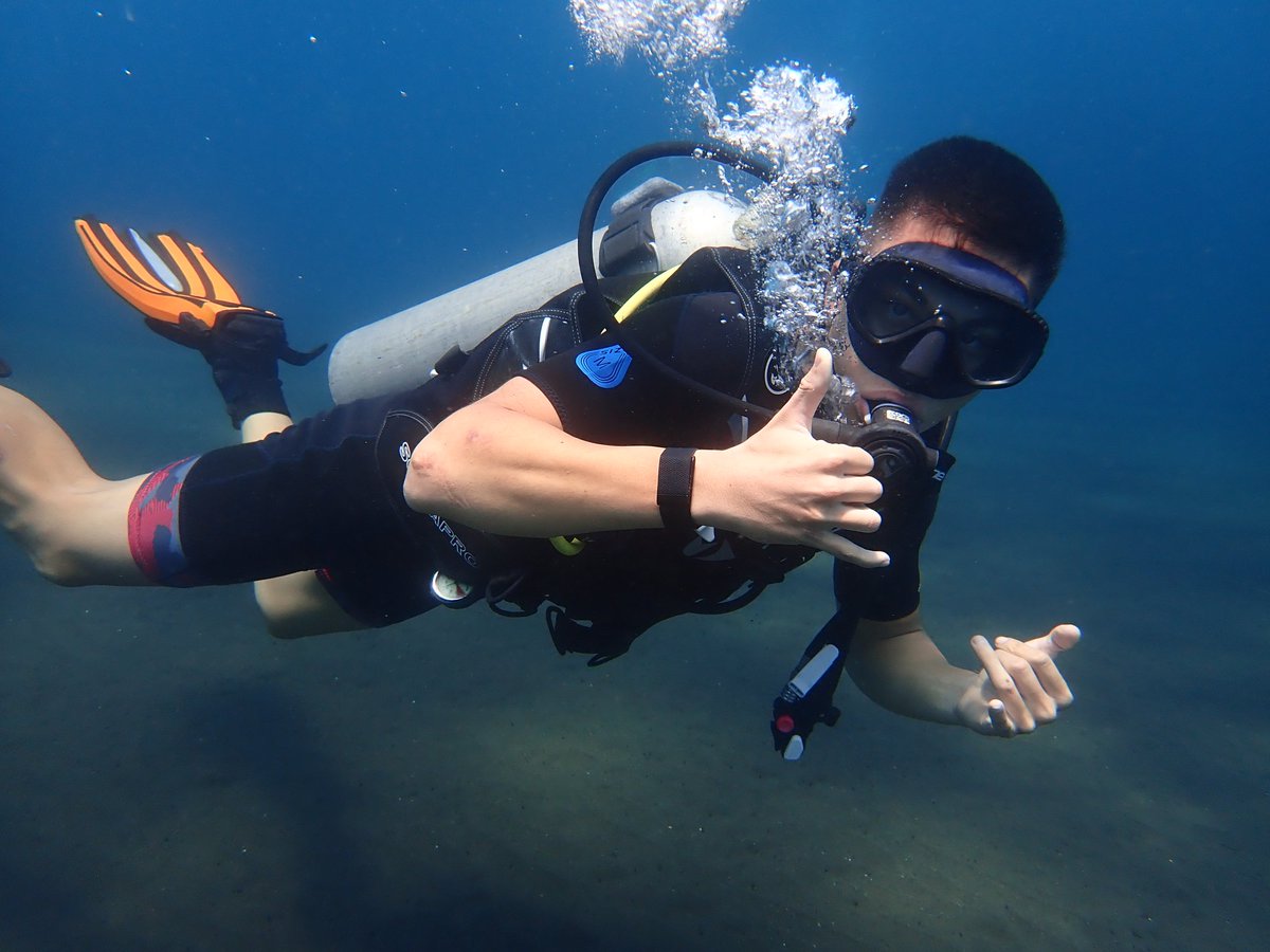 divebali tweet picture