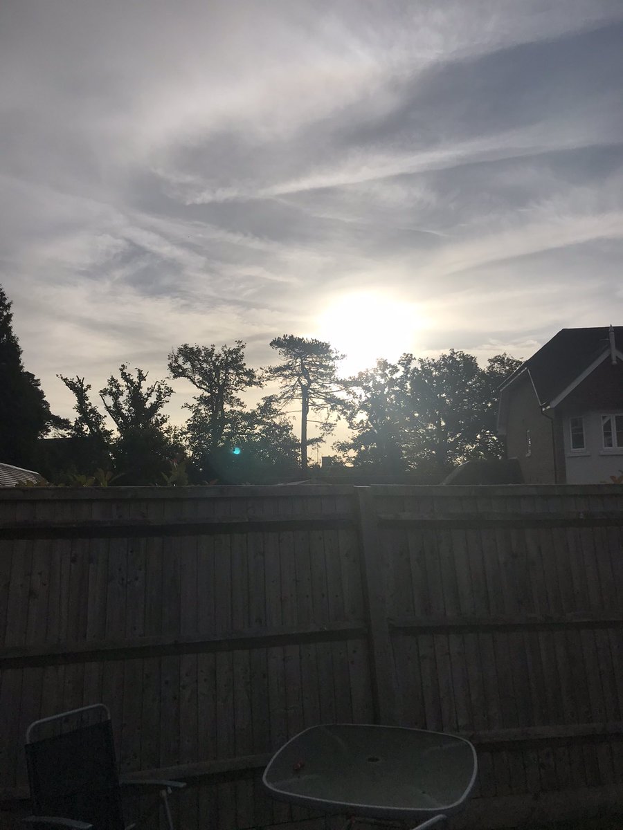 h157_helen's tweet photo. A beautiful start to the week along with a run. Then it was like Picadilly Circus in the garden with robin, blue tits and coal tits. Also appreciative of @LouMycroft &amp; the @JoyfulFE #JoyAM broadcasts &amp; her encouragement of us all 💛 https://t.co/u1HRbRZNtE