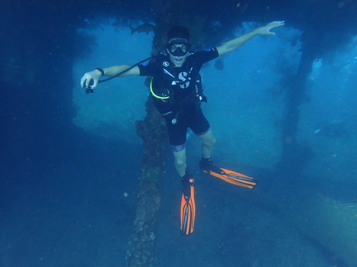 divebali tweet picture