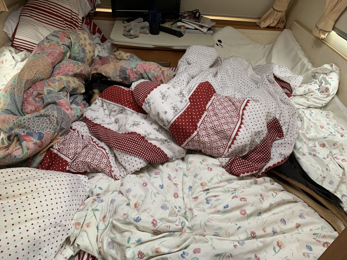 Someone wake me up when it’s Tuesday please. Way too much walking over the weekend.