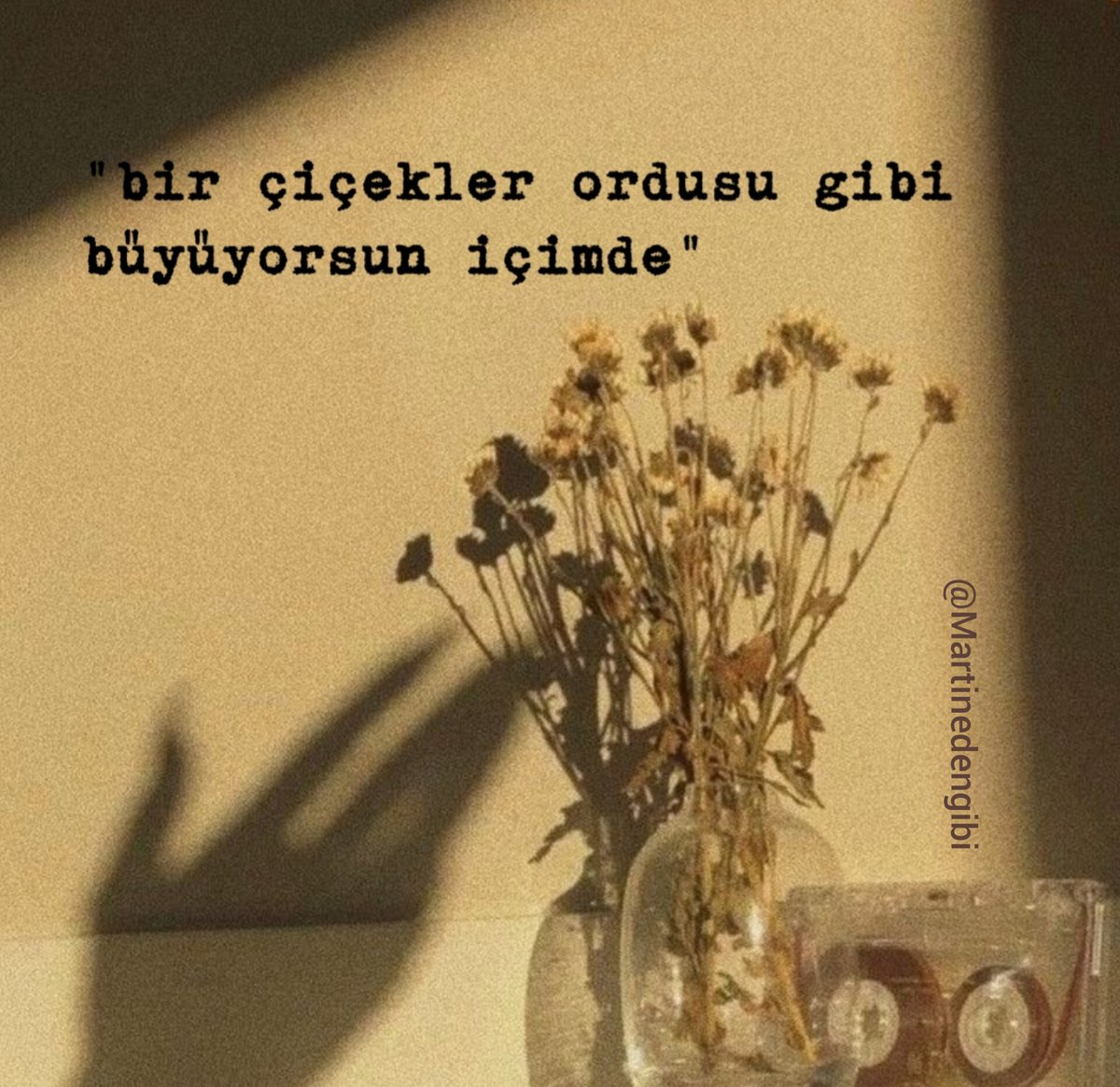 "bir çiçekler ordusu gibi büyüyorsun içimde"