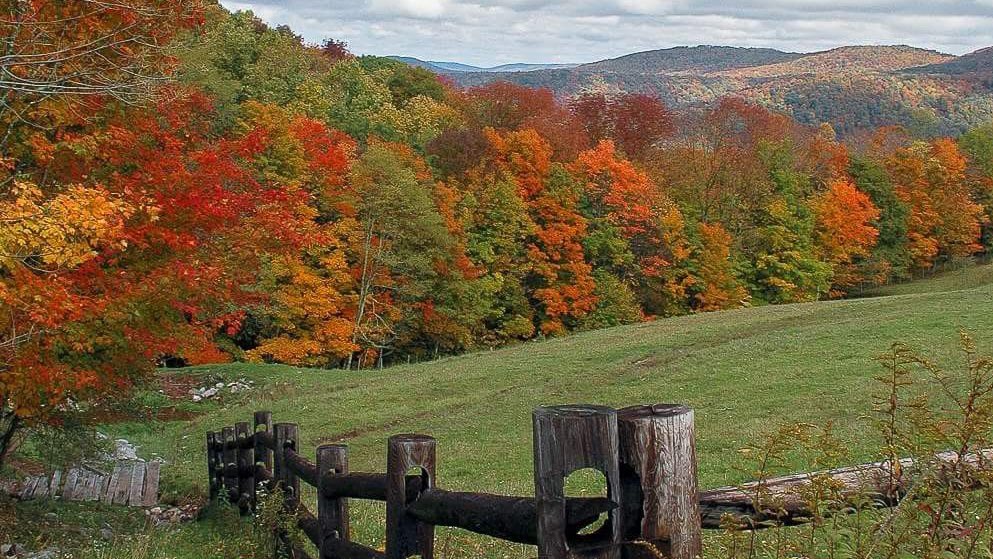 Meri_Riley's tweet photo. up for debate! which season is better 😳 summer ☀️ or fall 🍁 https://t.co/U9WMcOITUd